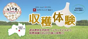 遊休農地を再利用！ブランドにんにく収穫体験1泊2日の旅in須賀川