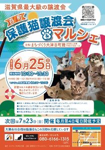 百町保護猫譲渡会＆マルシェ（6月）