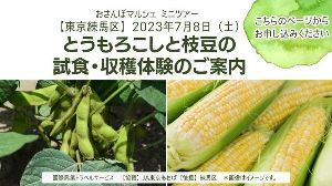 とうもろこし・枝豆の試食＆収穫体験　おさんぽマルシェ ミニバスツアー