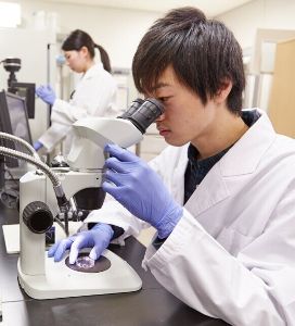 東京工科大学応用生物学部 チャレンジラボ「ペクチンの凝固作用の食品への応用」