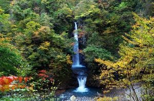 【紅葉・見ごろ】大山滝