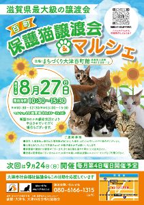 百町保護猫譲渡会＆マルシェ（8月）