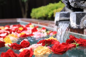 富士眺望の湯ゆらり　毎月26日はお風呂の日！7月の変わり湯は「バラの湯」
