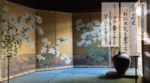 重要文化財 杉本家住宅一般公開「花の京町家 秋の草花を愛でる」（9月・10月）