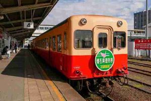 小湊鐵道　里山に動くジビエ懐石料理列車がオープン？！