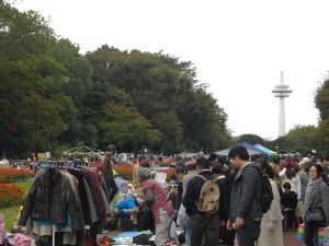 所沢航空記念公園フリーマーケット（11月）