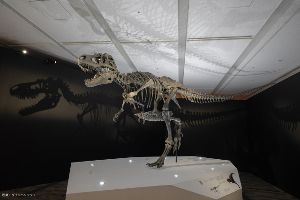 恐竜ミュージアム　―科学で紐解く恐竜の世界―