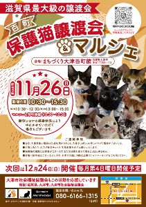百町保護猫譲渡会＆マルシェ（11月）