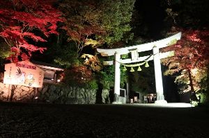 寶登山神社　ライトアップ