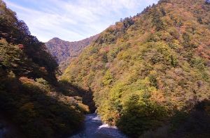 【紅葉・見ごろ】丹沢大山国定公園・県立丹沢大山自然公園
