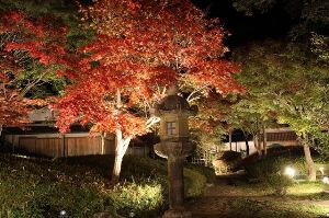 ぎふ清流里山公園 秋のライトアップ＆イルミネーション