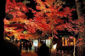 特別名勝　栗林公園　秋のライトアップ
