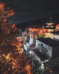 壷阪寺 「光の巡礼」紅葉ライトアップ夜間拝観