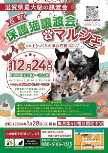 百町保護猫譲渡会＆マルシェ（12月）