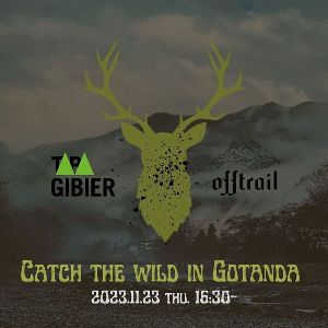 Catch Wild in GOTANDA