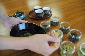 富士のお茶で自分だけのオリジナル煎茶とオリジナルほうじ茶を作ろう！